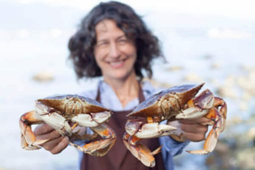 Sea Foraging in the ocean near Vancouver Tour