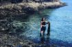 sea foraging in the ocean near Vancouver without a boat - seaweed