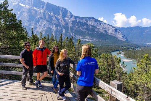 Banff wildlife summer tour lake mountain view