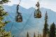 Banff Wildlife Tour and Gondola