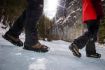Grotto Canyon Icewalk, Alberta,  walking on frozen creek