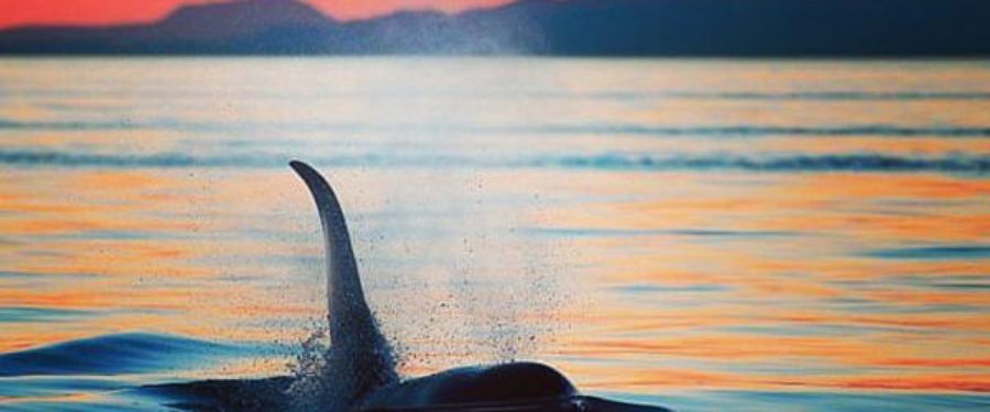 5 Late-Summer Romantic Sunset Date Ideas in Canada