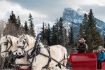 things to do in Banff winter Sleigh Ride winter