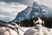 Things to do in Calgary in Winter