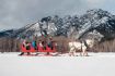 Banff Sleigh Ride winter activity