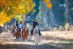 Banff horseback tour along Bow River
