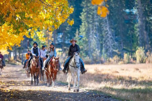 Banff horseback tour along Bow River