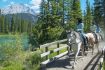 Guided Tour Banff Horseback Riding Bow Falls