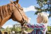 horseback ride Banff National Park family fun