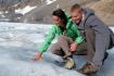 Columbia Icefields Tour , walking on glacier and touching