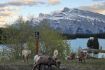 Big Horn Sheep on Banff Evening Wildlife Tour