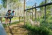 animal lover gift idea - Yamnuska Wolfdog Sanctuary Tour