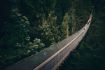 Capilano Suspension Bridge, Grouse Mountain
