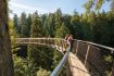 Vancouver Tour with Capilano Suspension , Cliffwalk