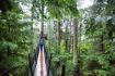 Capilano Suspension Bridge on Vancouver Sightseeing Tour