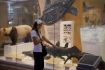 Touring with guide Royal Ontario Museum