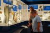 places to see in Toronto Royal Ontario Museum tour