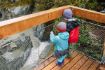 family fun things to do Squamish Canyon Mamquam Falls