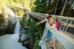 Squamish Canyon boardwalk in rainforest