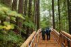 Squamish Canyon board walks in rainforest