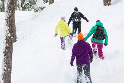Whistler Winter TAG Day Ticket - Snowshoeing