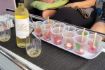 Toronto Islands Wine Tasting Sail - Hare white wine