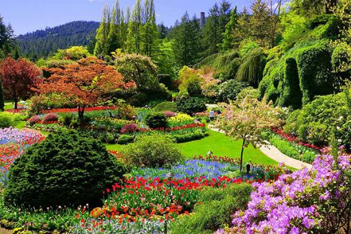 Victoria and Butchart Gardens Day guided Tour from Vancouver