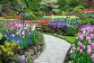 Visit to Butchart Gardens guided tour