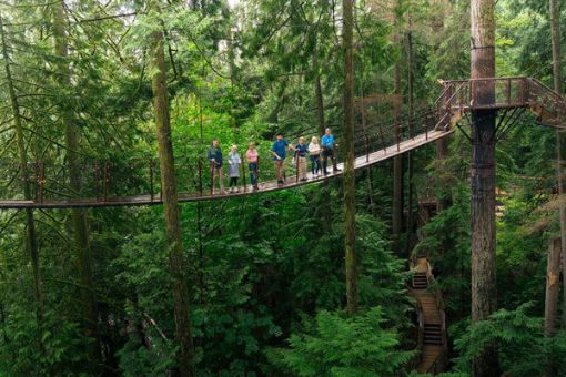 Capilano Suspension Bridge Tour
