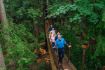 Capilano Suspension Bridge in rainforest BC