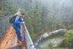 Capilano Suspension Bridge in rainforest  over river
