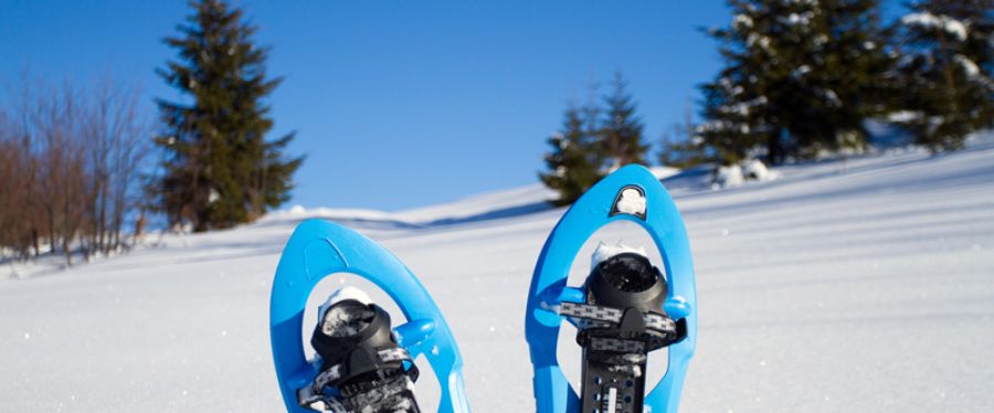 9 Epic Canadian Winter Adventures to Try Before Spring