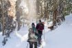 Whistler guided snowshoeing experience Crater Rim Trail and Logger’s Lake