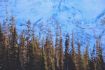 winter things to do in Whistler BC -snowshoeing tour
