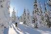 Whistler BC - learn to Backcountry Ski