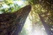 fun things to do in Whistler hike Crater Rim