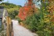 Discover Toronto on a guided bicycle tour