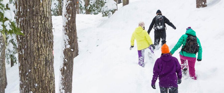 The Ultimate Whistler Winter TAG Day Ticket Guide