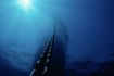 play at home and with friends.	Save The Titanic Clue Solving Adventure