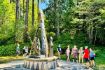 Fun things to do in Vancouver - Stanley Park tour