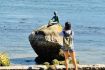 Discover Vancouver attractions on guided tour