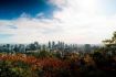 Mont Royal view of city