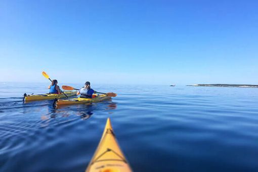 Halifax Nova Scotia guided kayak tour half day