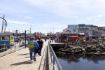 Unique Halifax tour Waterfront