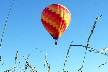 Show details for Albany Hot Air Balloon Ride Picture of Albany Hot Air Balloon Ride