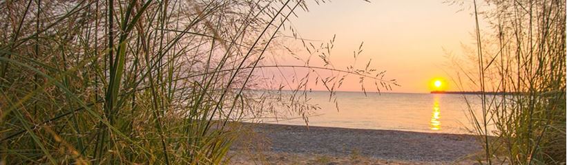 Picture for category Michigan