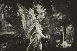 Austin Tour Ghost Adults Ashwood Cemetery Angel