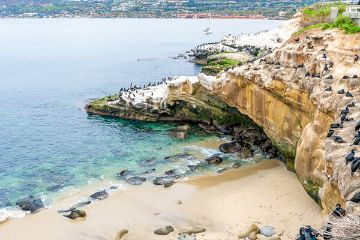 La Jolla Cove on San Diego guided food and drink tour La Jolla Cove on San Diego guided food and drink tour