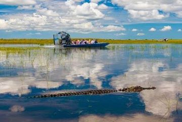 Everglades Tour and Airboat ride from Fort Lauderdale Everglades Tour and Airboat ride from Fort Lauderdale