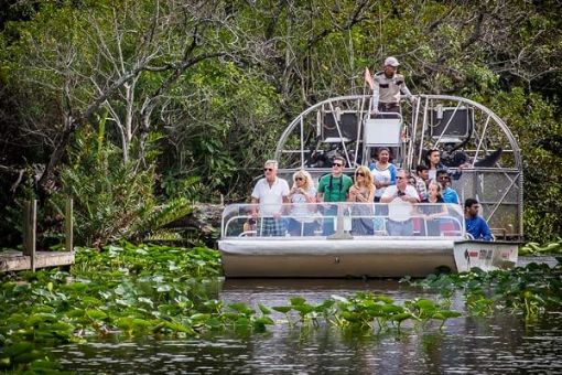 Everglades Tour and Airboat ride from Miami